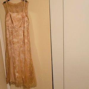 Champagne Place Adriana Papell Dress 18W